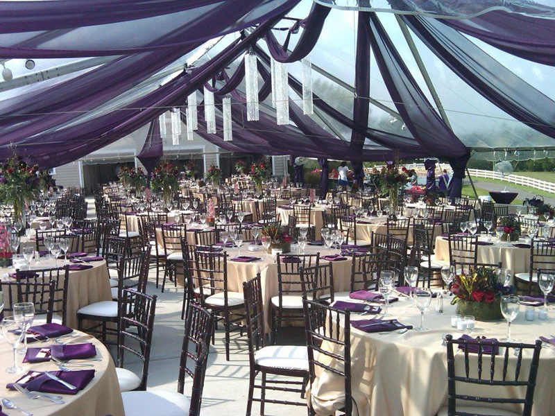 Clear Top Wedding Tent Rentals in St Louis