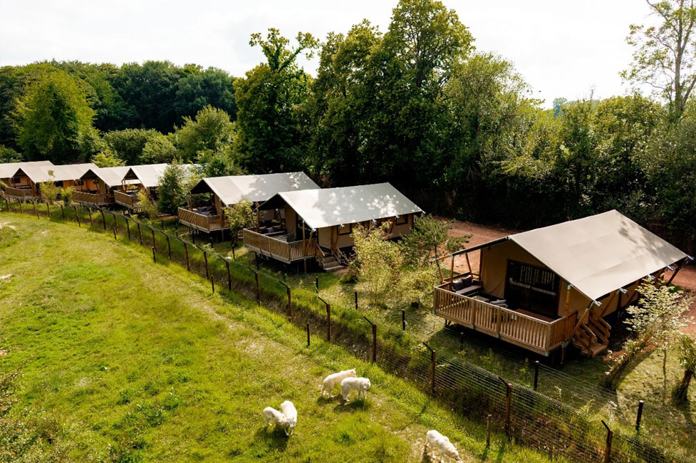 Glamping Safari Park.